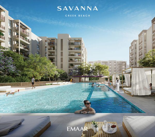 SAVANNA 1 600x533 - Savanna
